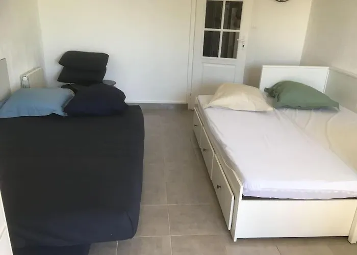 Cap Studio-cabine -vue Jardin Appartement